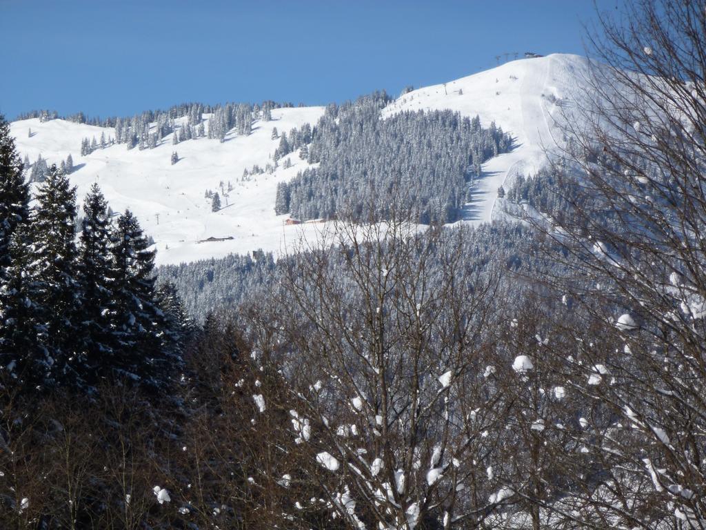 Appartement Ripper Saalbach-Hinterglemm Ngoại thất bức ảnh